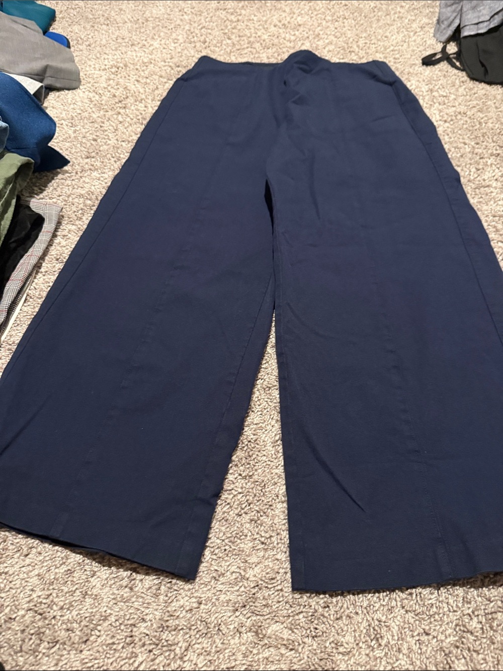 Old Navy Navy Wide-Leg Pixie Women's Pants
